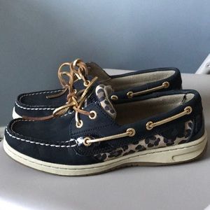 Cheetah Sperrys